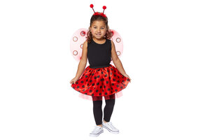 Kinder verkleedset Lieveheersbeestje 3-delig (tutu, vleugels en haarband)