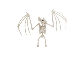 Amscan Halloween plastic skelet Vleermuis