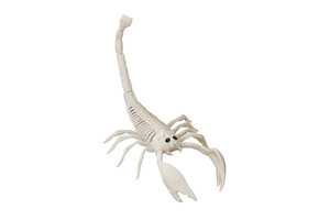 Amscan Halloween plastic skelet Schorpioen