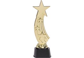 Trofee ster goudkleurig - Plastic 24cm