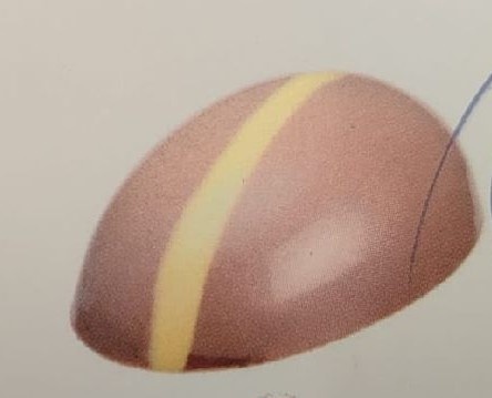 Paasei advocaat melk - 1kg