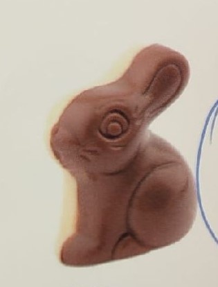 Chocolade Haasje duplo praline koekje - 1kg