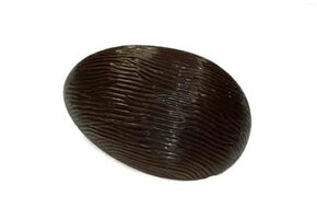 Chocolade schelp boomschors Puur 17,5cm - 6 stuks á 185 gram.