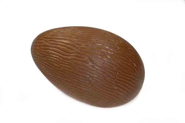 Chocolade schelp boomschors Wit 17,5cm - 6 stuks á 140 gram