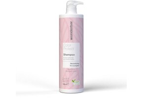 Wunderbar Vegan Color Protect Duo Shampoo 1L