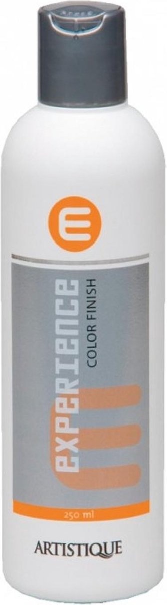 Artistique Experience Color Finish 250ml