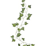 Ginger Ray - 5 Plantenslingers - Feestdecoratie - Groen - Plastic
