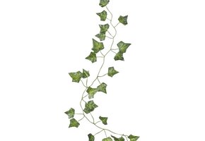 Ginger Ray - 5 Plantenslingers - Feestdecoratie - Groen - Plastic