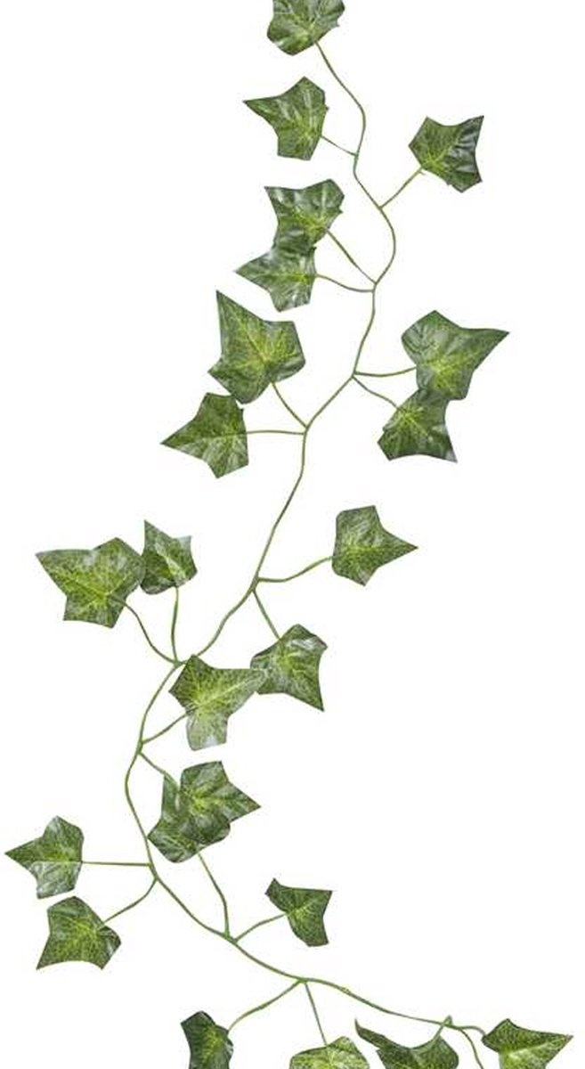 Ginger Ray - 5 Plantenslingers - Feestdecoratie - Groen - Plastic
