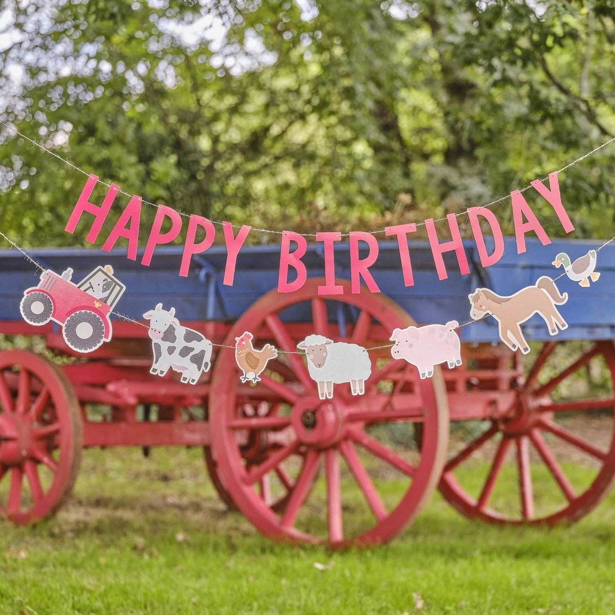 Ginger Ray Boerderij banner Happy Birthday 2 meter