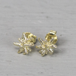 Jéh Jewels Jeh Jewels oorstekers zilver verguld ster