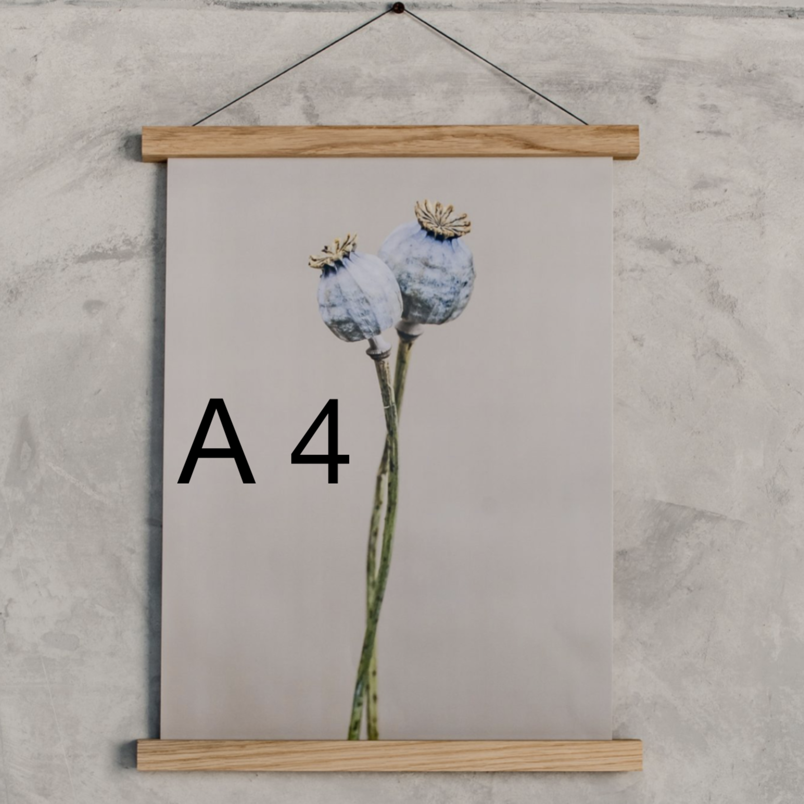 Rio Lindo Gifts Houten magnetisch frame A2, A3 of A4