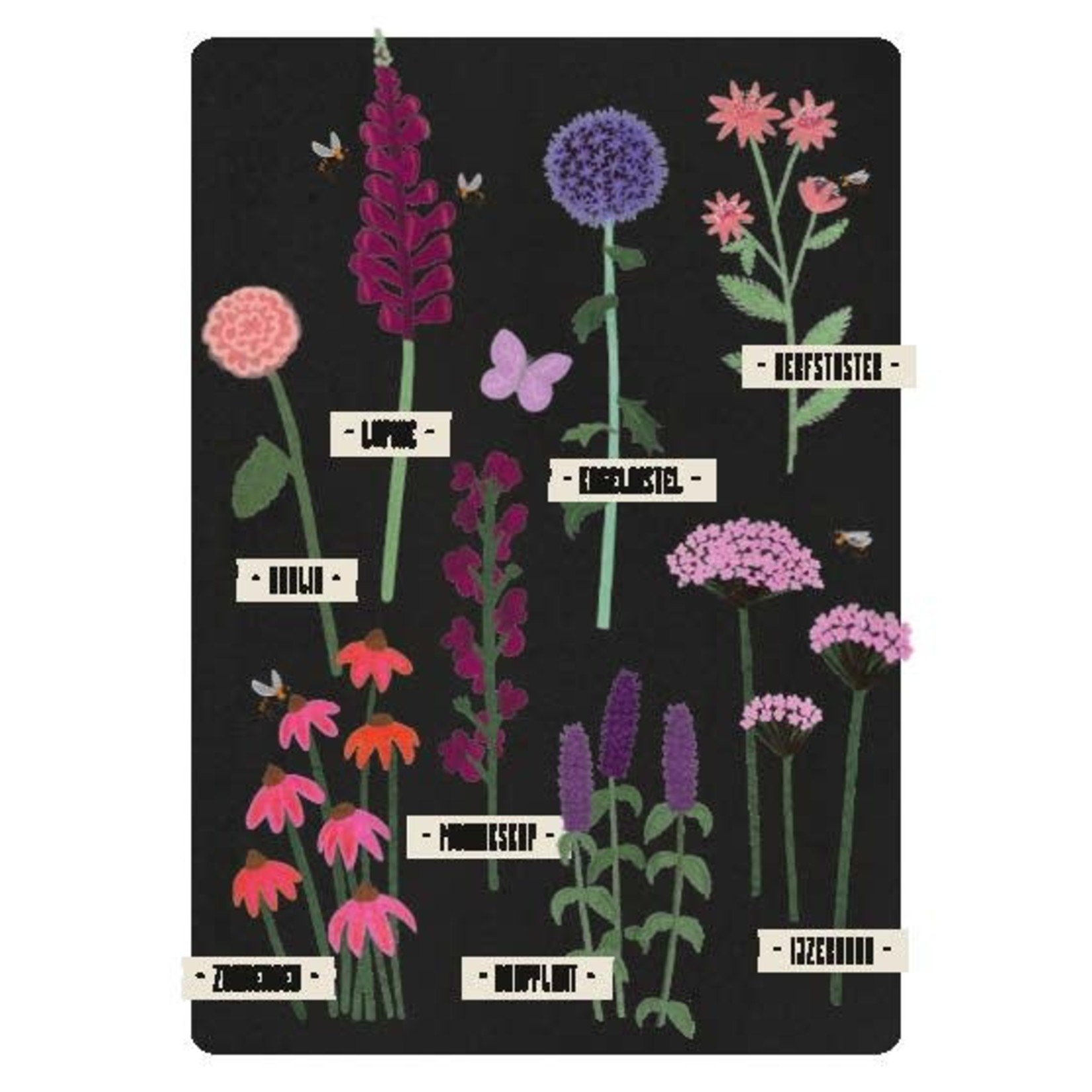 Snor Uitgeverij Snor Pluktuin 32 bloemkaarten