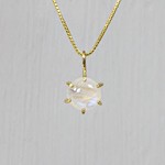 Jéh Jewels Jeh Jewels collier zilver verguld met roosje maansteen