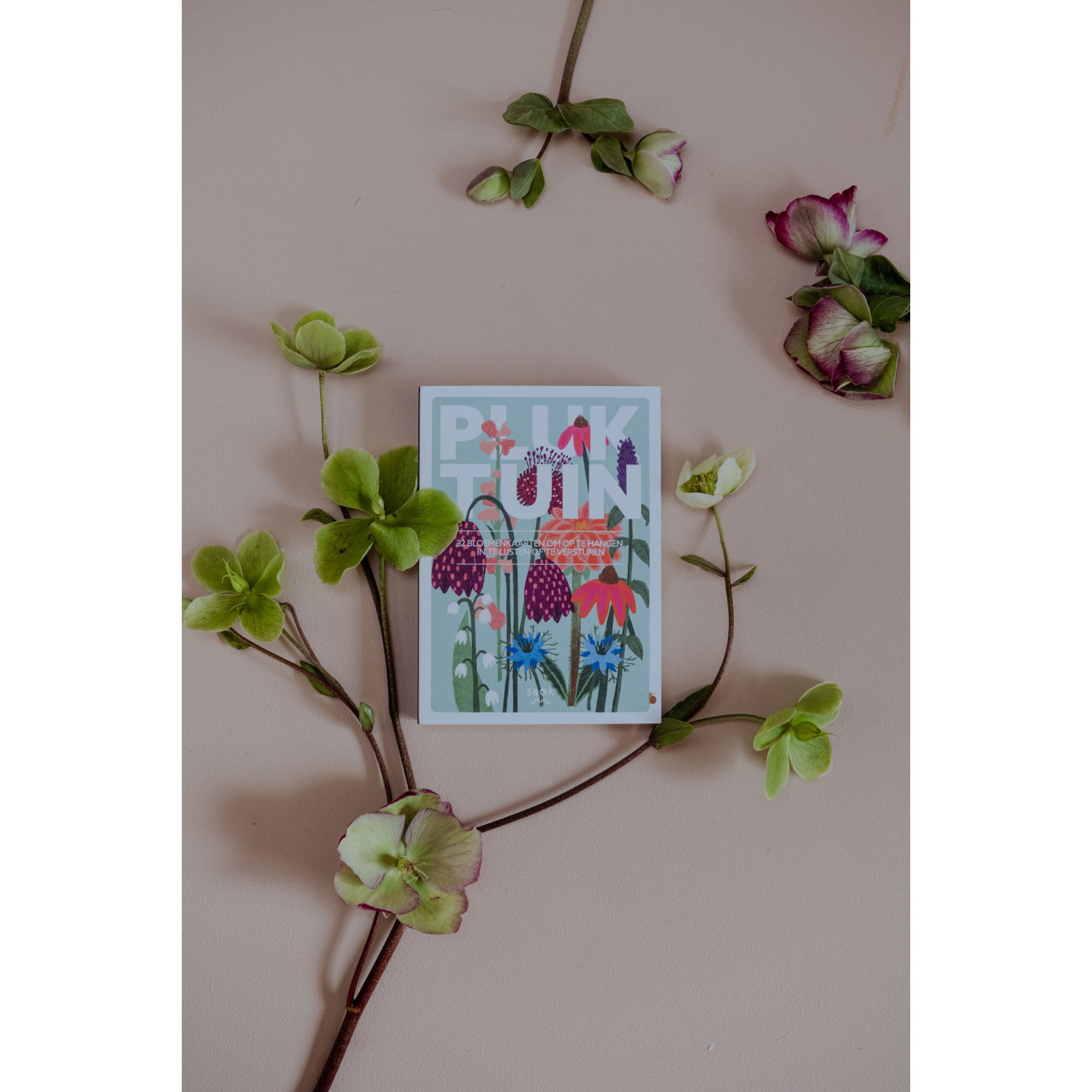 Uitgeverij Snor Pluktuin 32 bloemkaarten