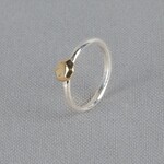 Jéh Jewels Jeh Jewels ring zilver en 9 karaat zeshoek