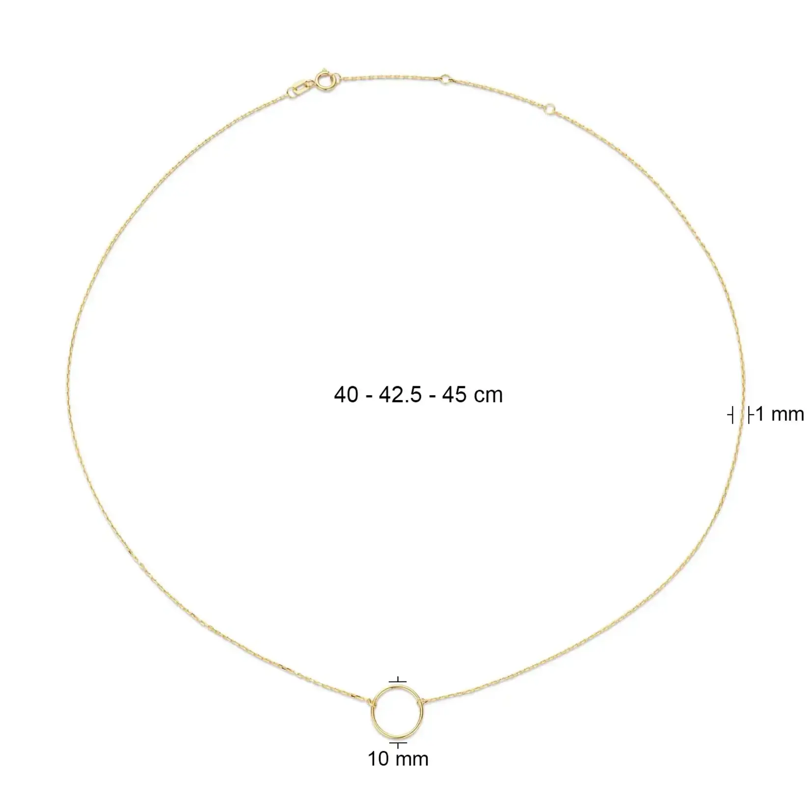 Jackie Gold Jackie Gold Circle Silhouette Necklace 14 karaat goud