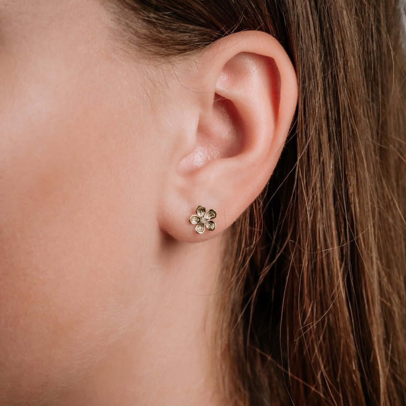 Jéh Jewels Jeh Jewels 14kt oorstekers Diamant 0,025CT Bloem 19730