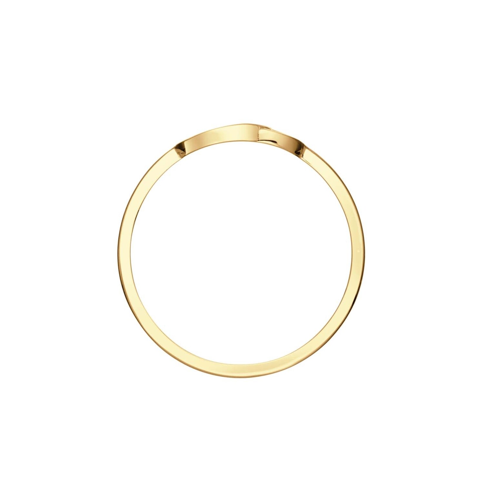 Jackie Gold Jackie Gold Giro Doppio Ring 14 karaat goud
