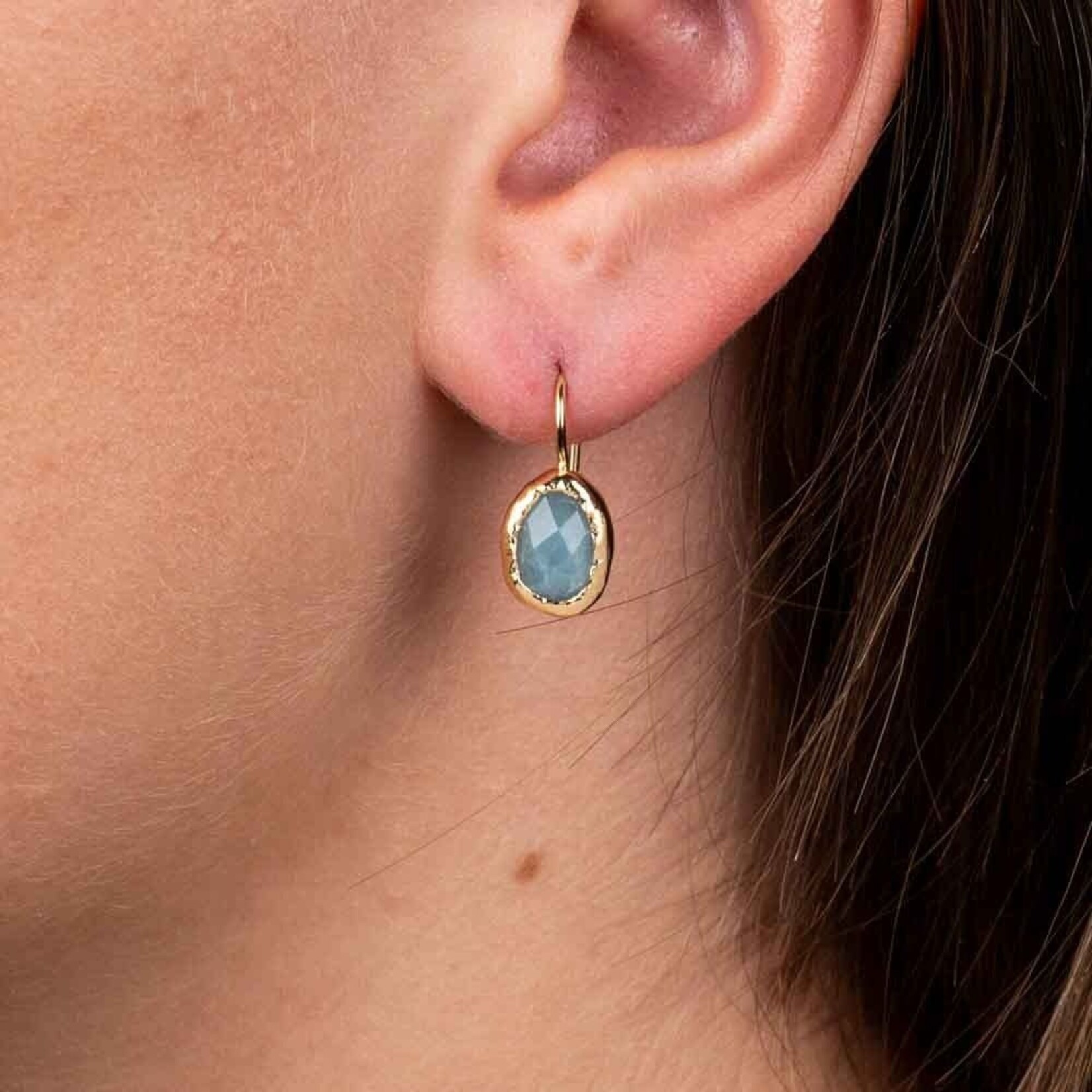 Jéh Jewels Jeh Jewels oorhangers verguld Aquamarijn kleine druppel 21522