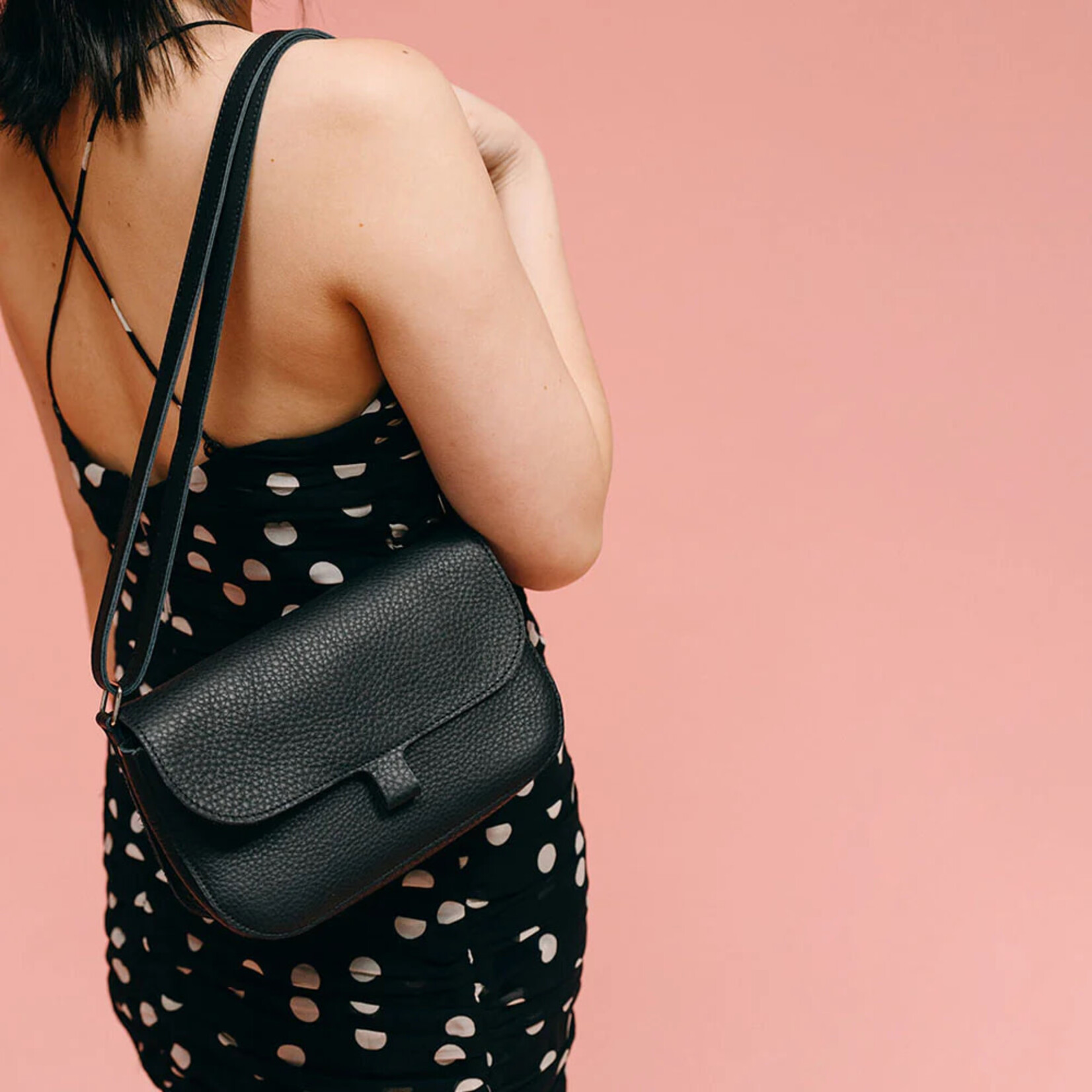 Keecie Keecie Wild Swan