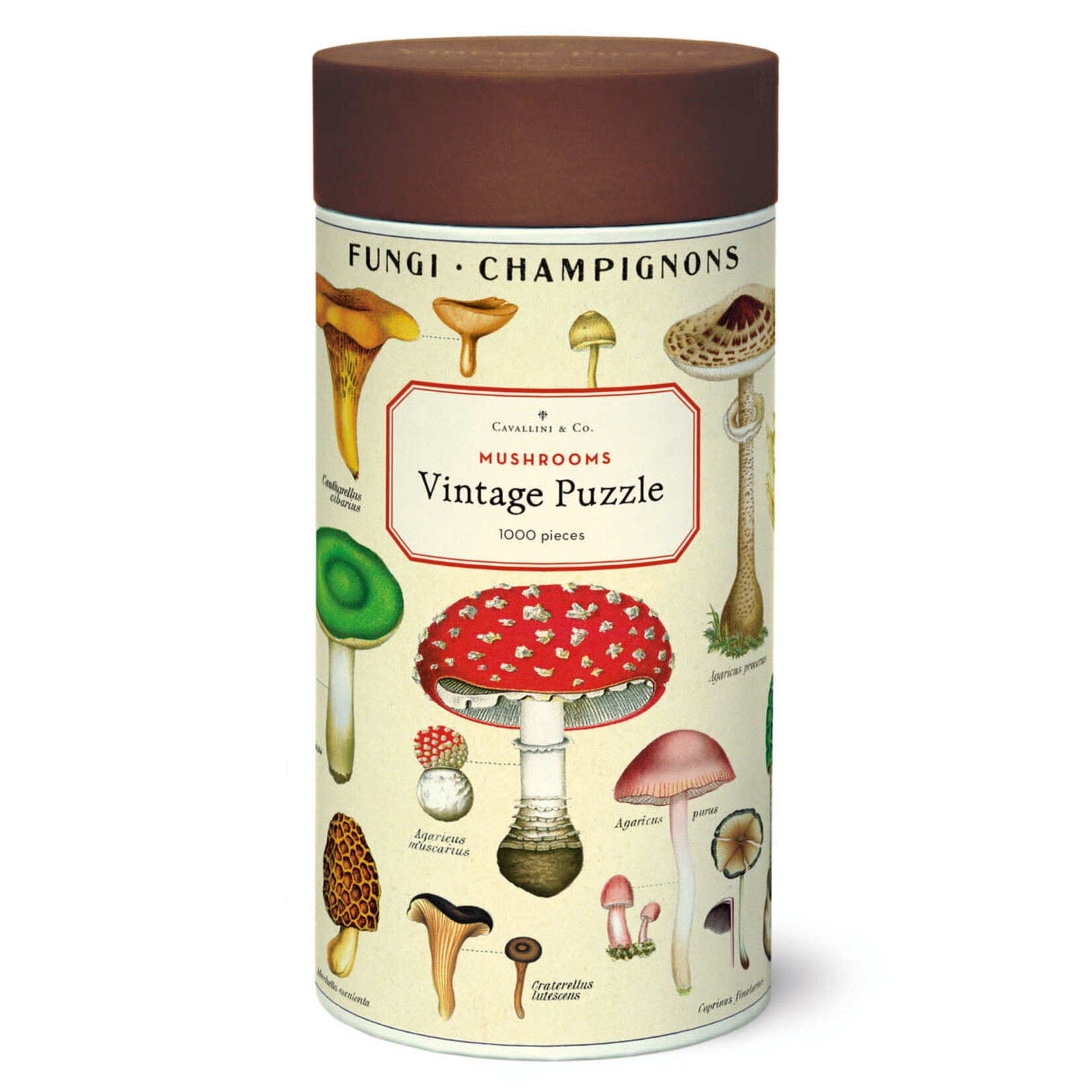 Cavallini & Co. Cavallini vintage puzzel Mushrooms