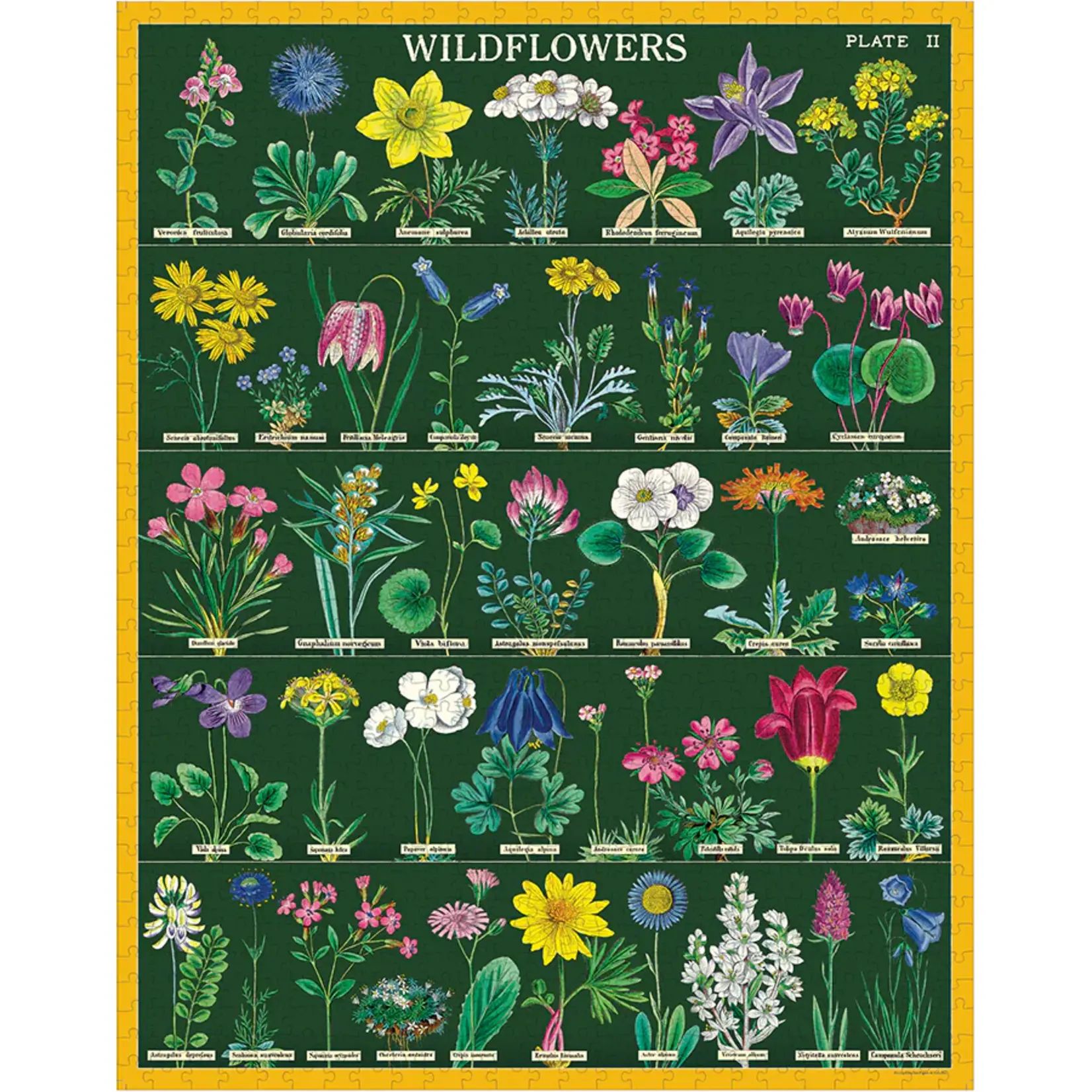 Cavallini & Co. Cavallini vintage puzzel Wildflowers