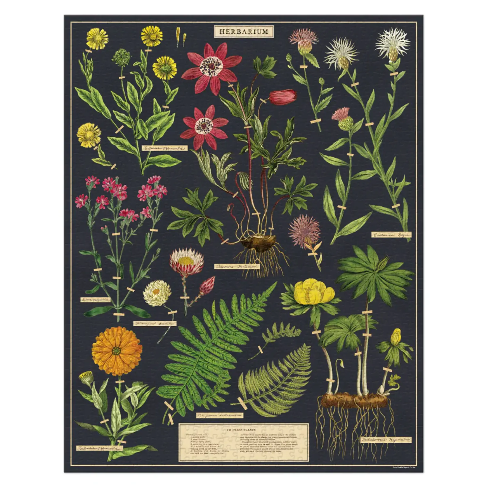 Cavallini & Co. Cavallini vintage puzzel Herbarium