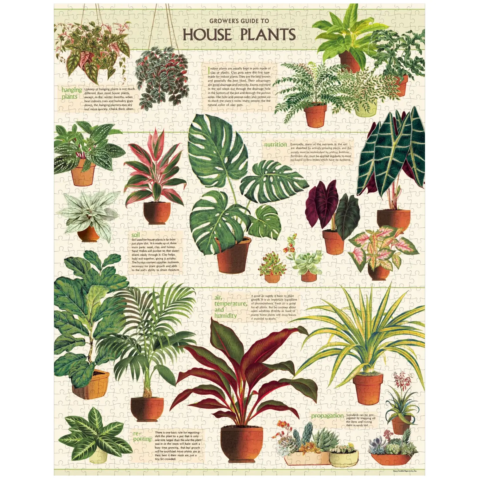 Cavallini & Co. Cavallini vintage puzzel House Plants