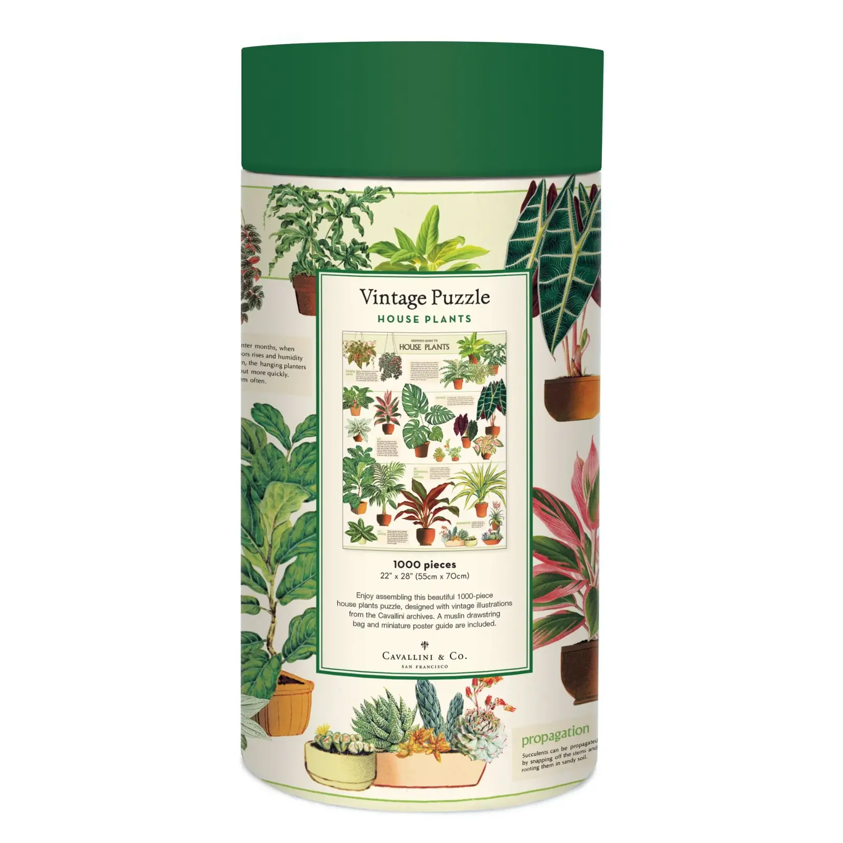 Cavallini & Co. Cavallini vintage puzzel House Plants