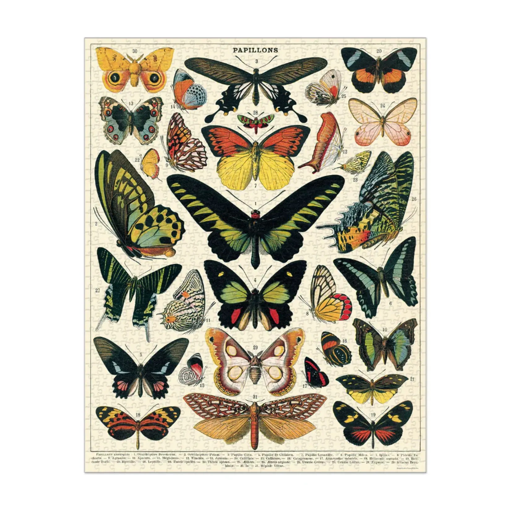 Cavallini & Co. Cavallini vintage puzzel Butterflies