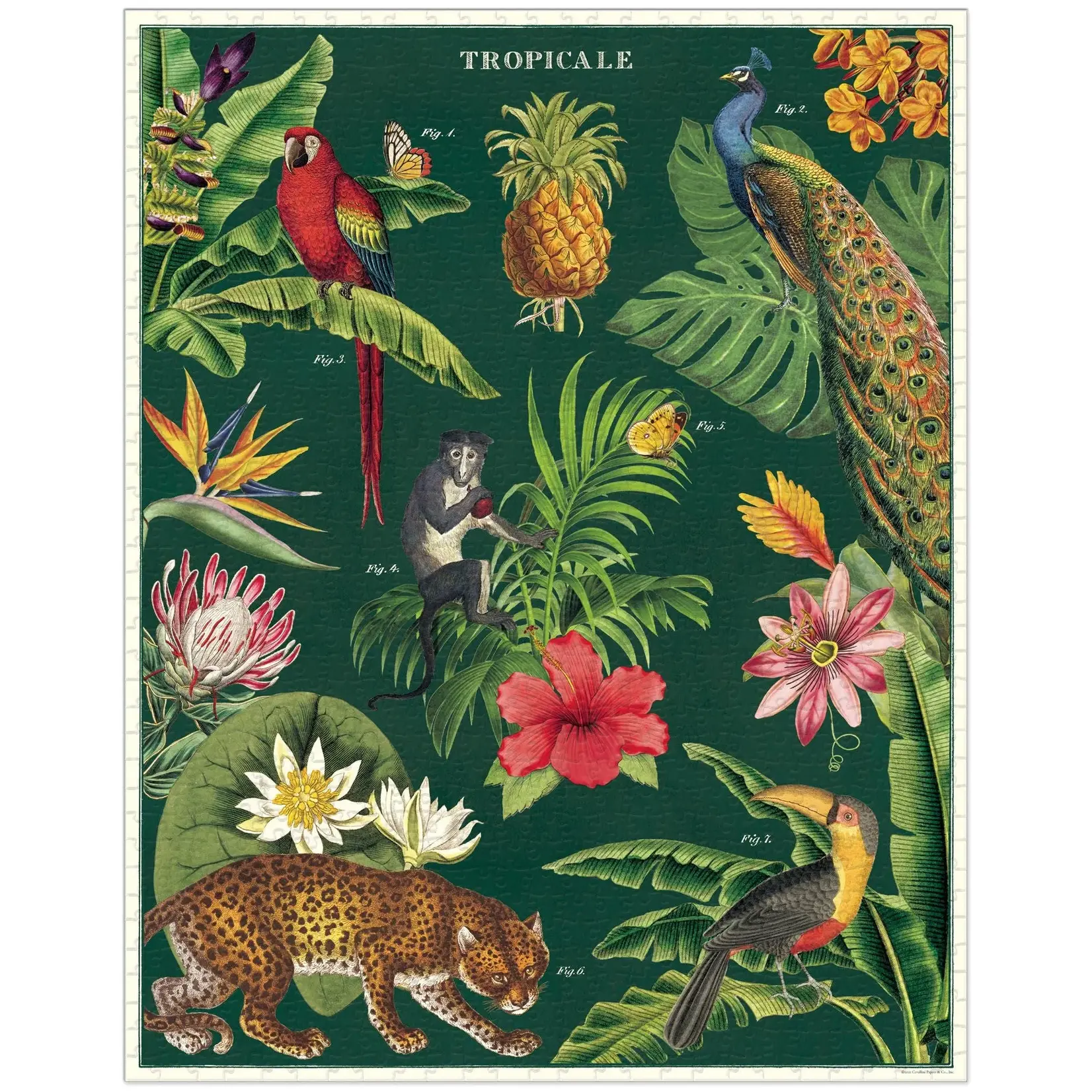 Cavallini & Co. Cavallini vintage puzzel Tropicale