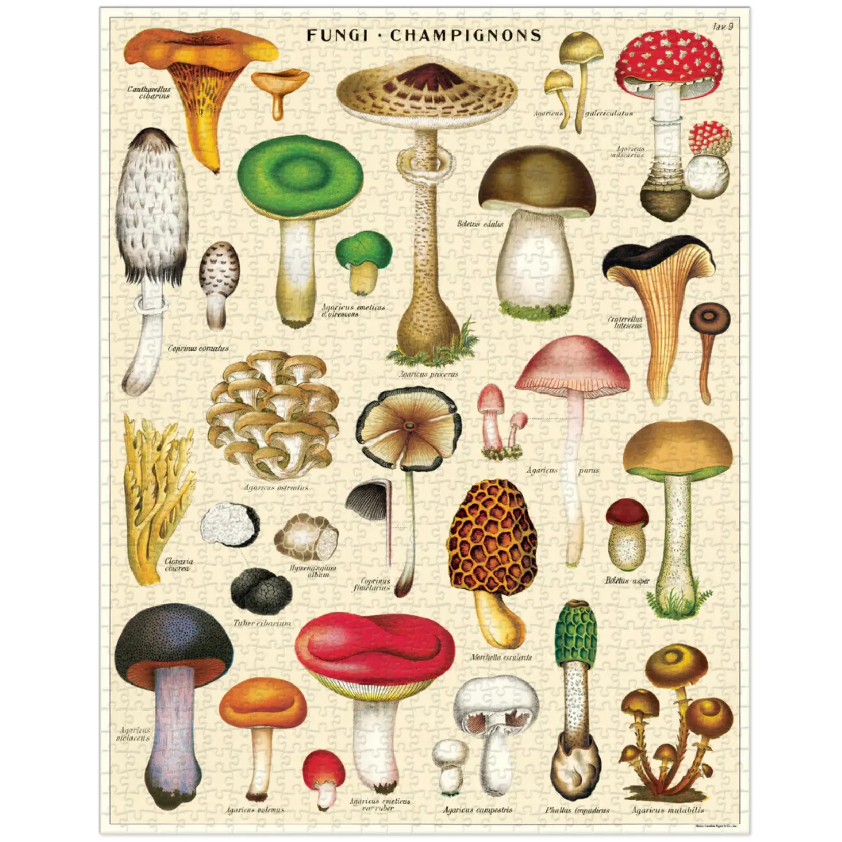 Cavallini & Co. Cavallini vintage puzzel Mushrooms