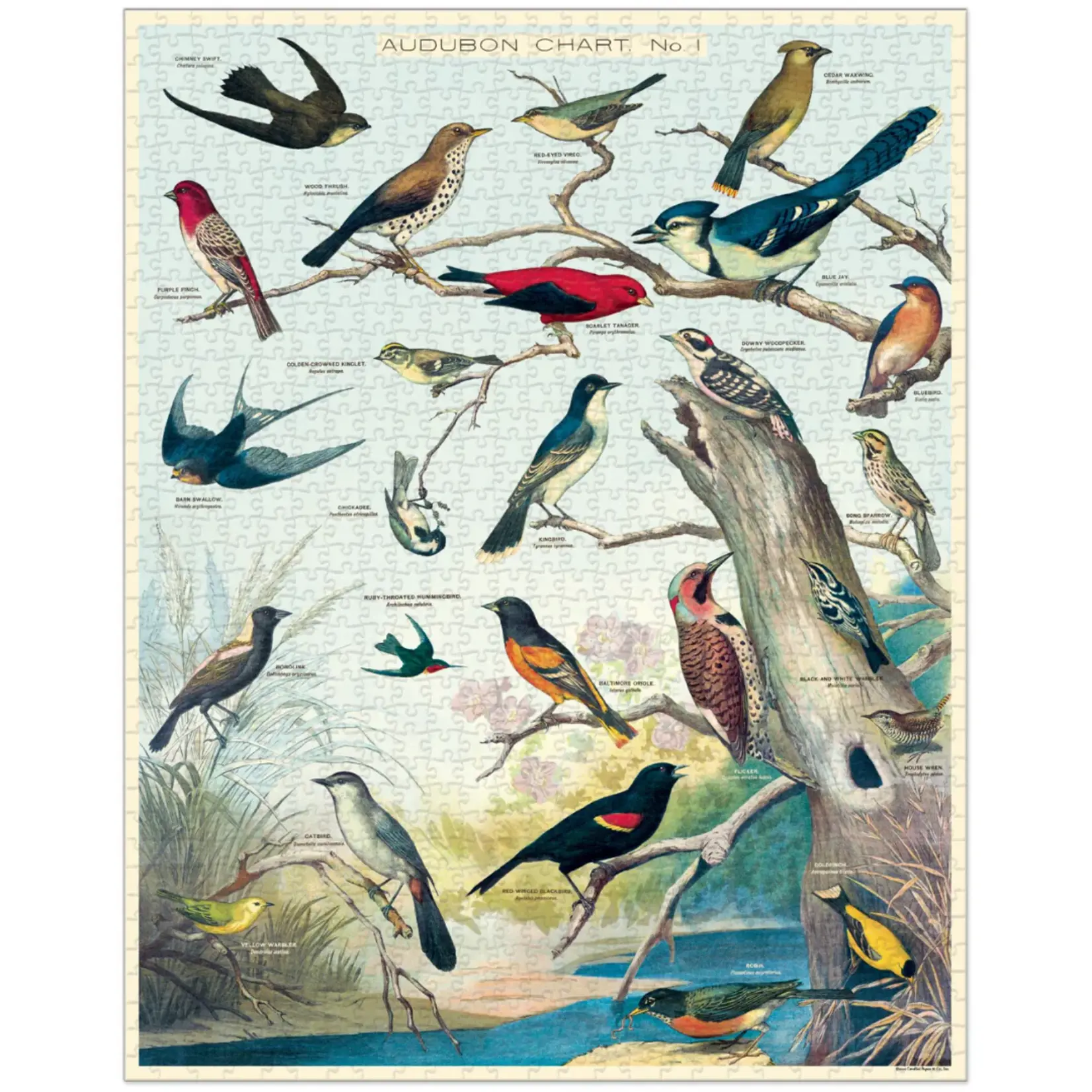 Cavallini & Co. Cavallini vintage puzzel Birds