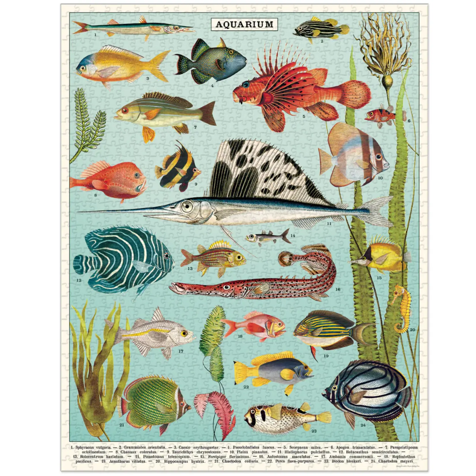 Cavallini & Co. Cavallini vintage puzzel Aquarium