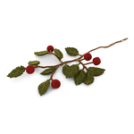 Gry & Sif Gry & Sif Tak met Appels