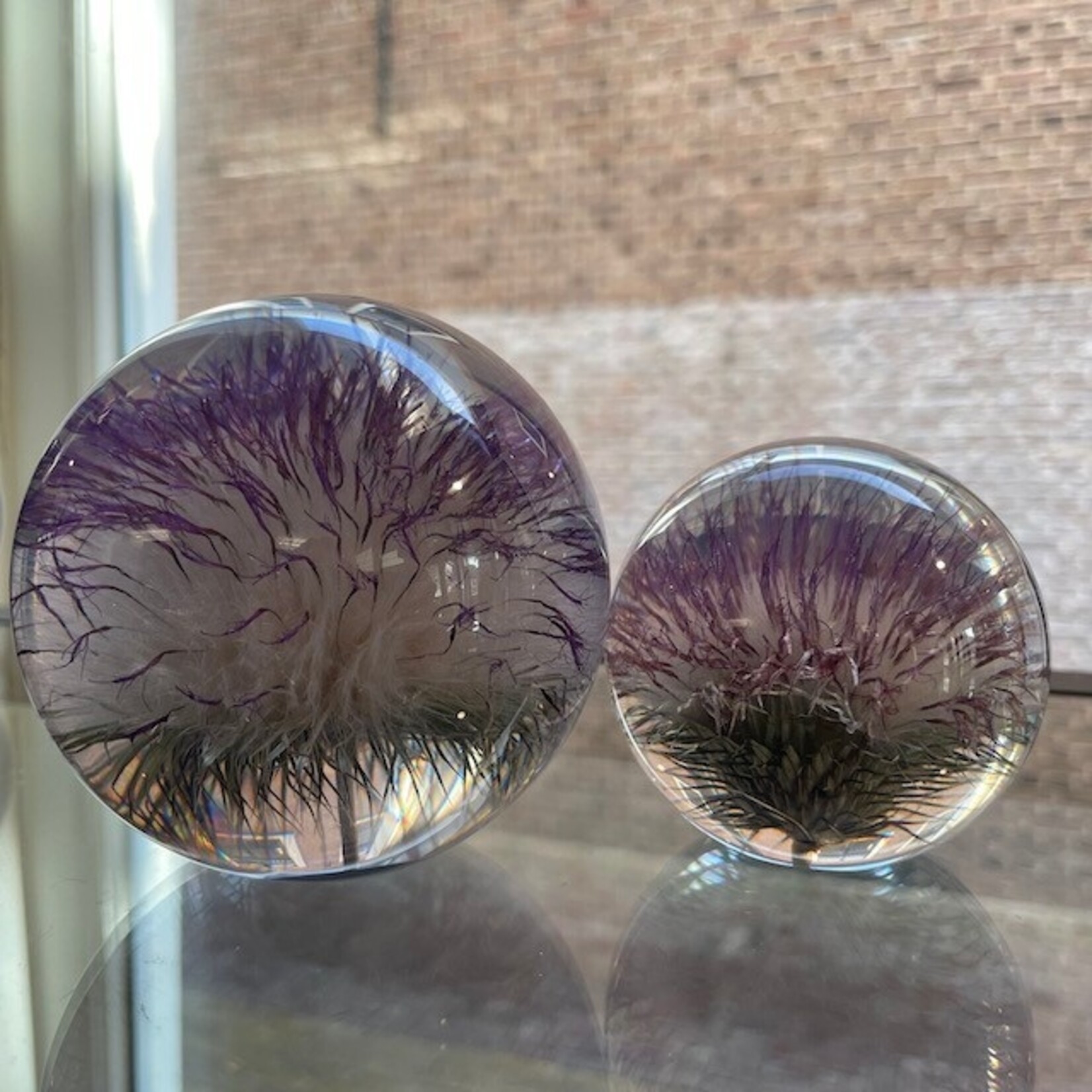 Hafod Grange Hafod Grange presse-papier kunsthars bloemen (meerdere soorten)