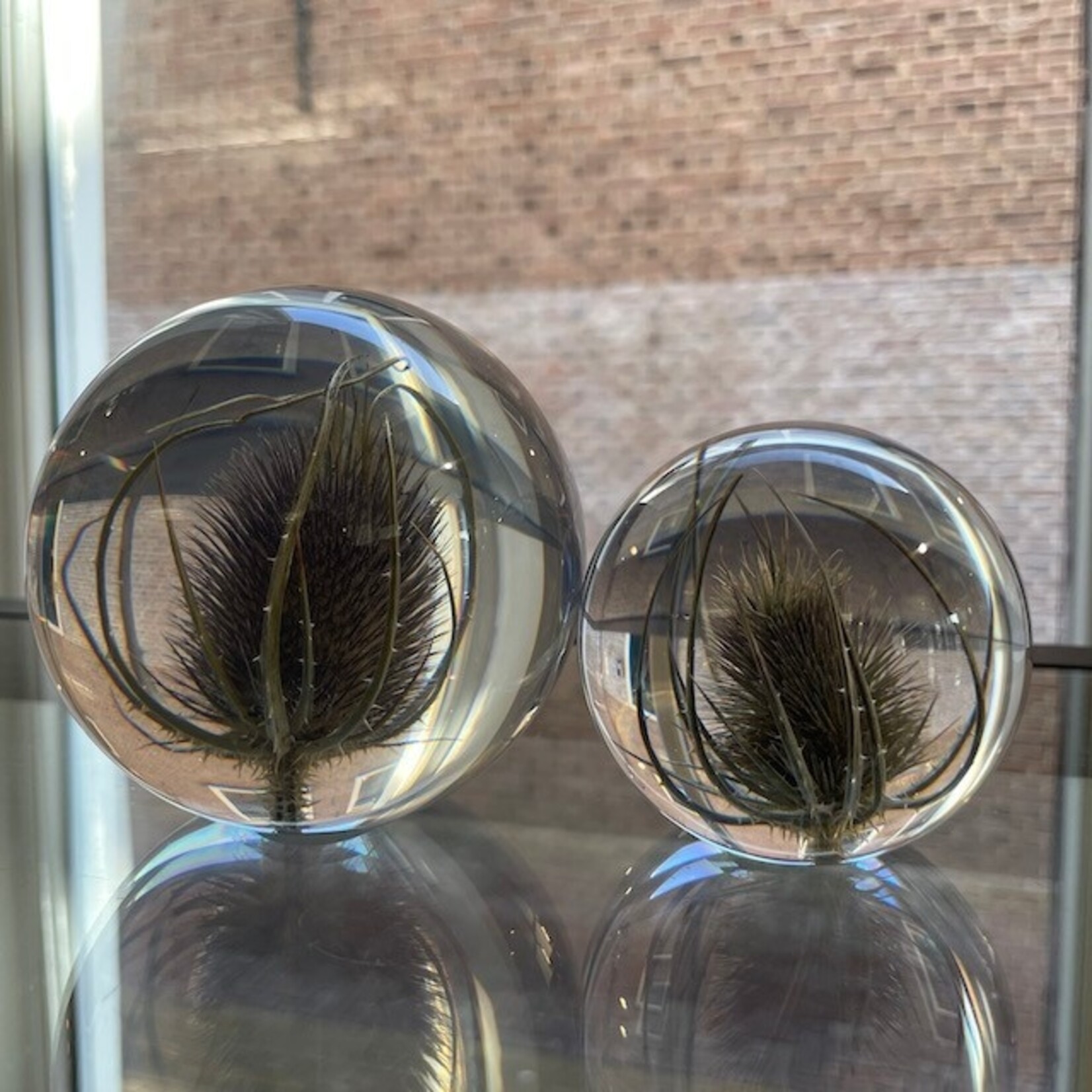 Hafod Grange Hafod Grange presse-papier kunsthars bloemen (meerdere soorten)