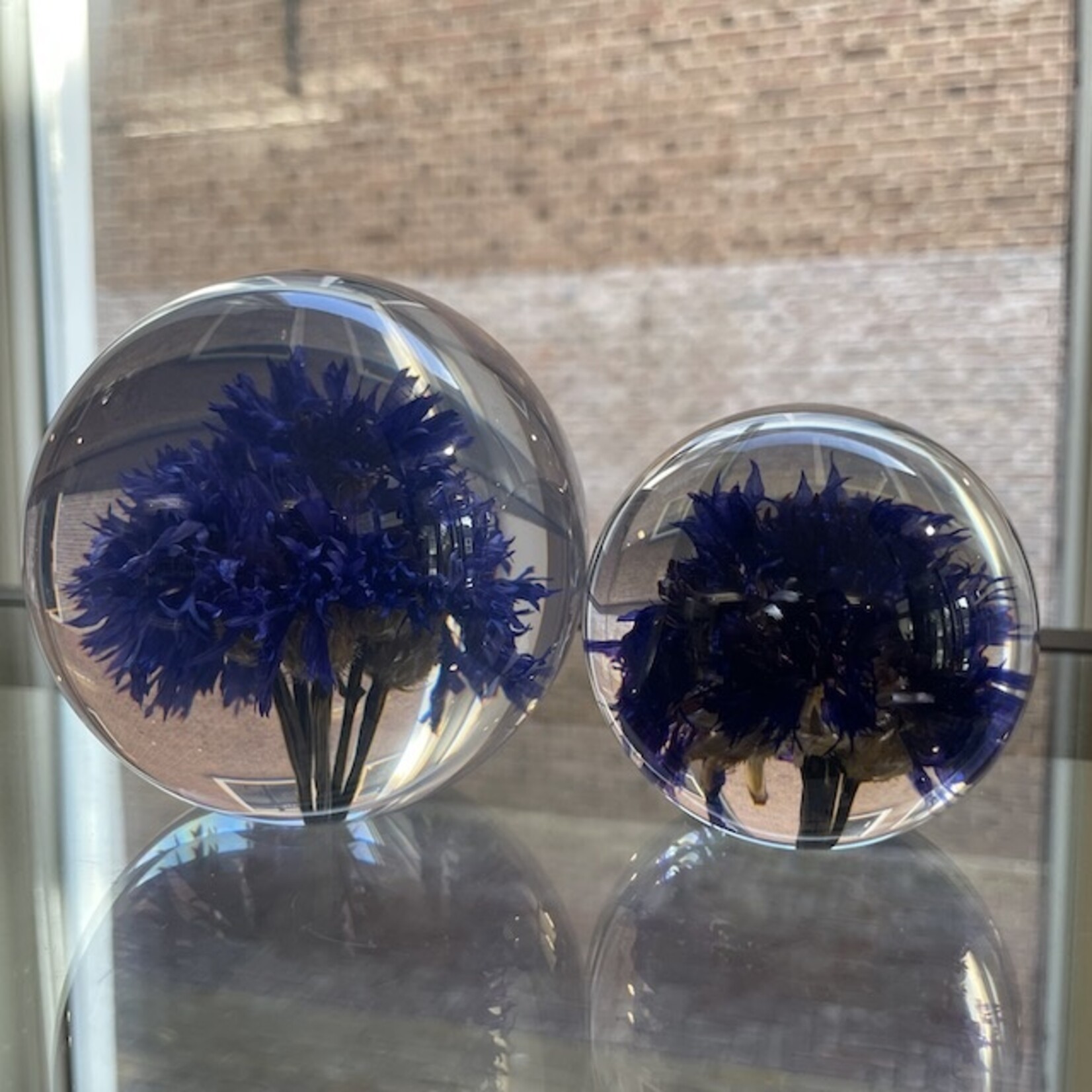 Hafod Grange Hafod Grange presse-papier kunsthars bloemen (meerdere soorten)