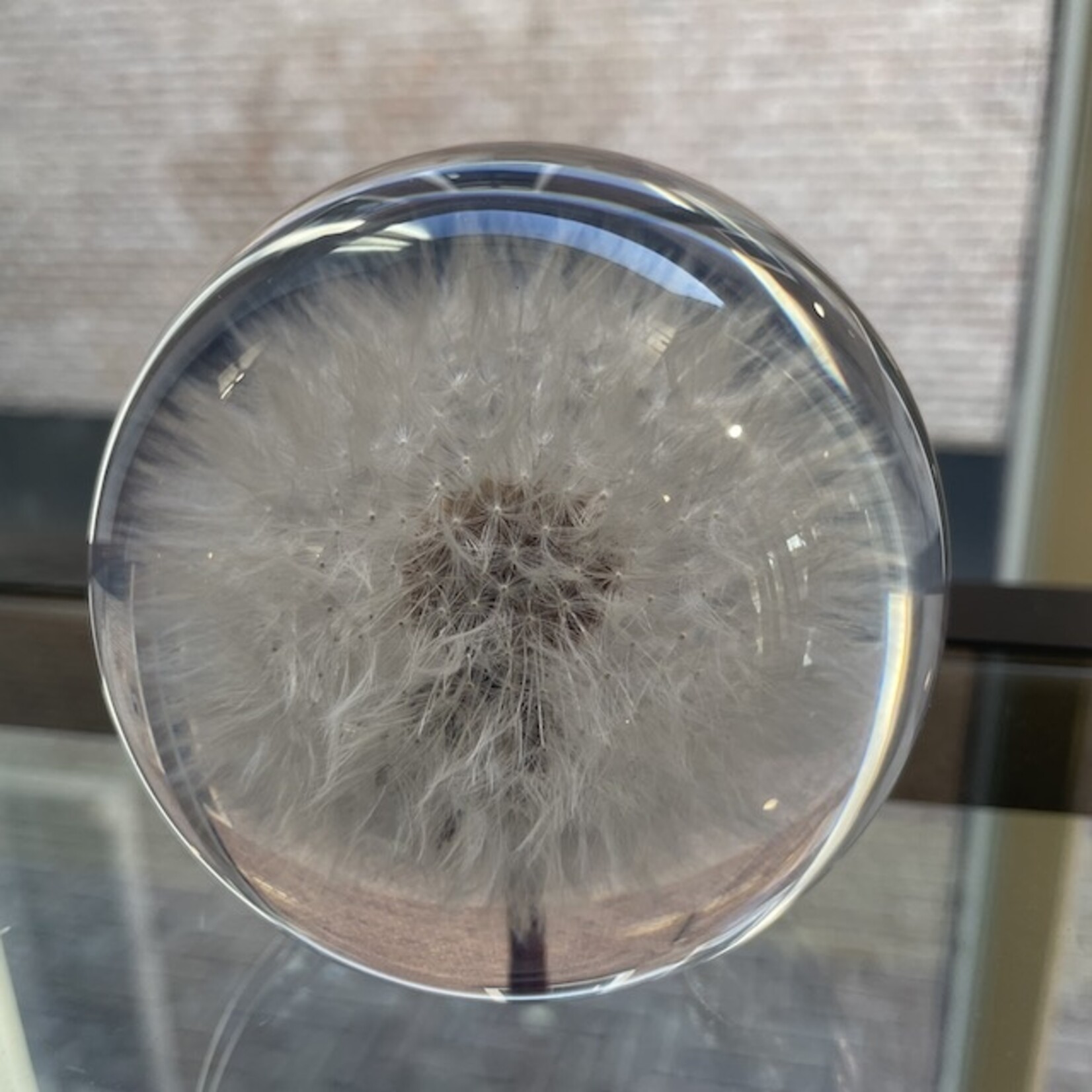 Hafod Grange Hafod Grange presse-papier kunsthars bloemen (meerdere soorten)