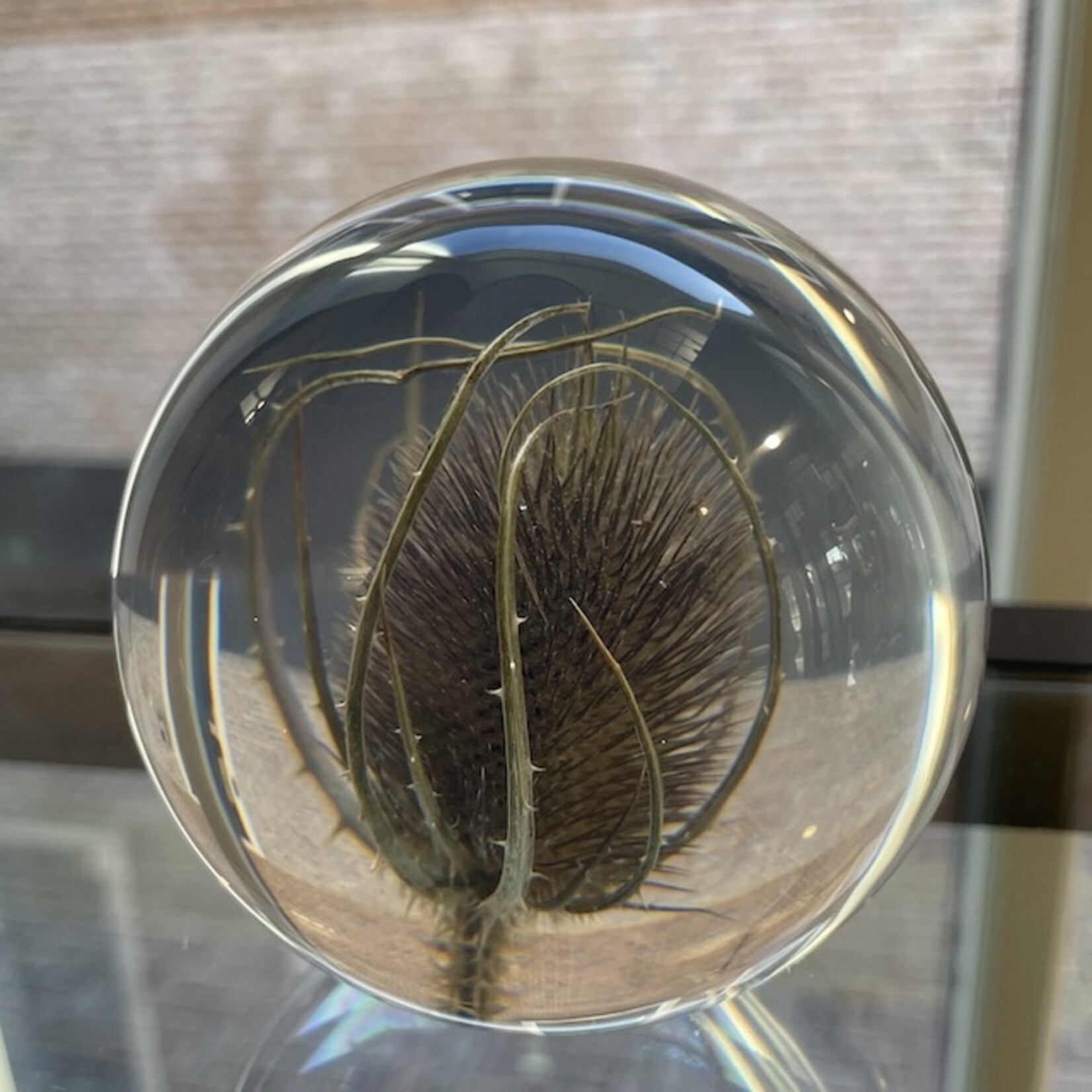 Hafod Grange Hafod Grange presse-papier kunsthars bloemen (meerdere soorten)