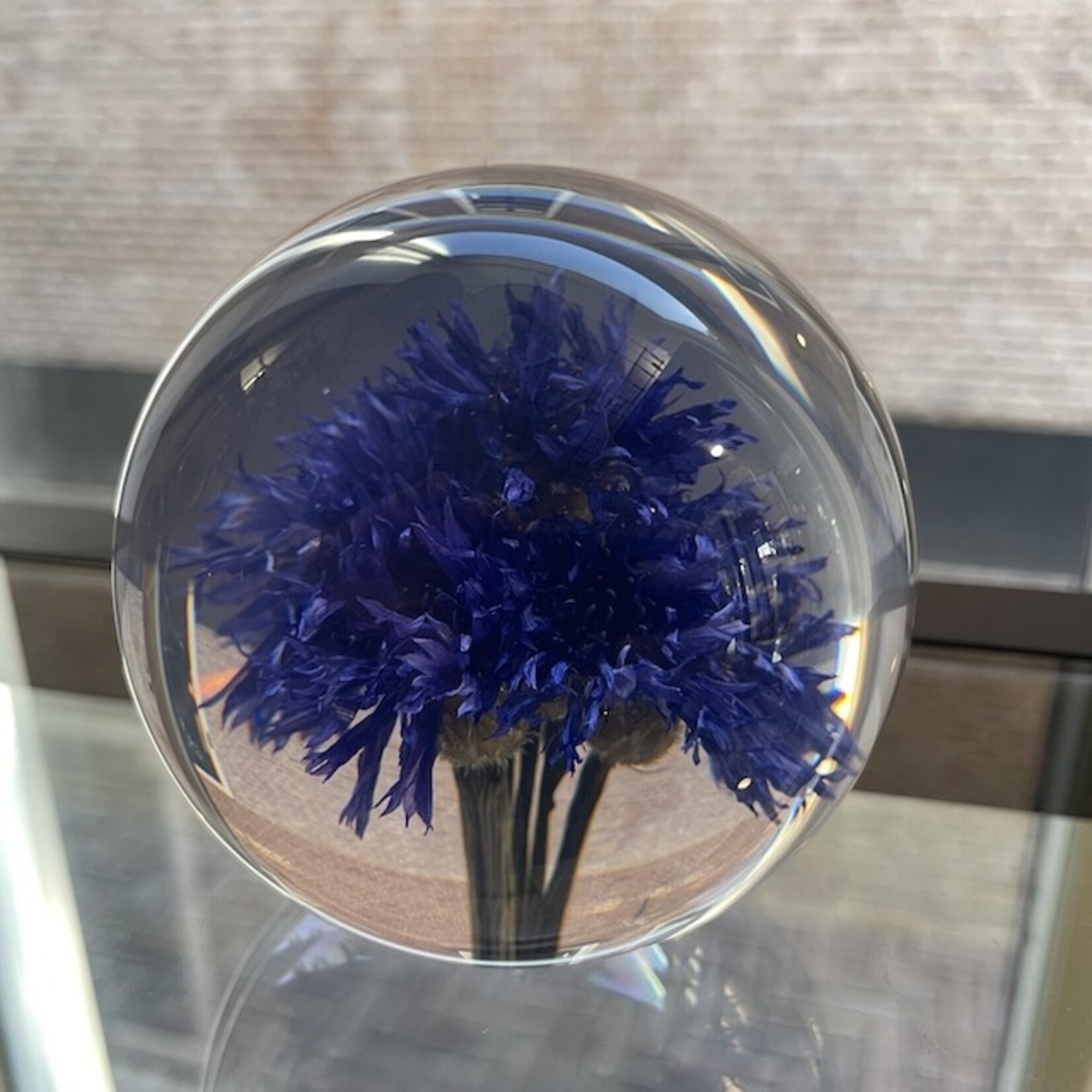 Hafod Grange Hafod Grange presse-papier kunsthars bloemen (meerdere soorten)