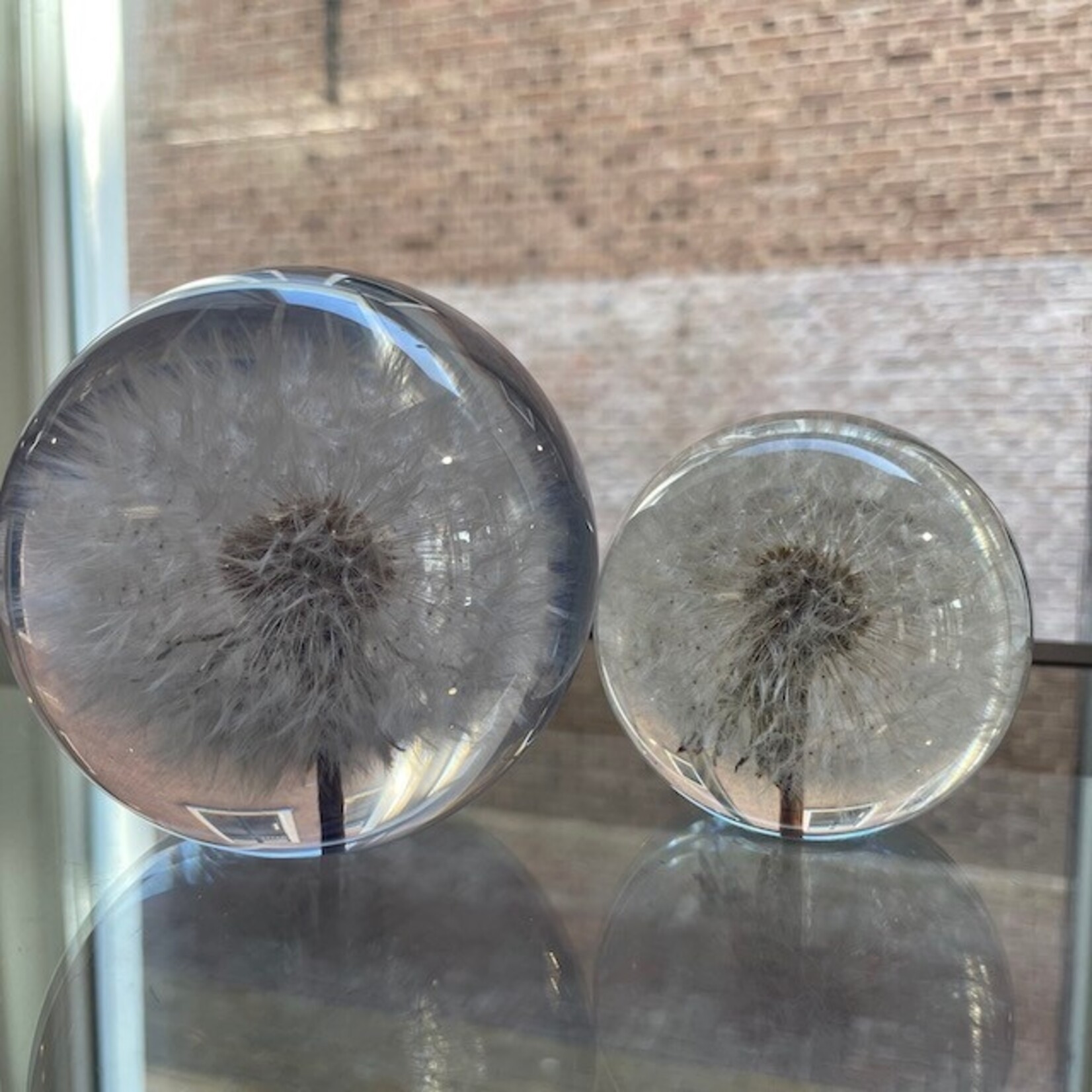 Hafod Grange Hafod Grange presse-papier kunsthars bloemen (meerdere soorten)