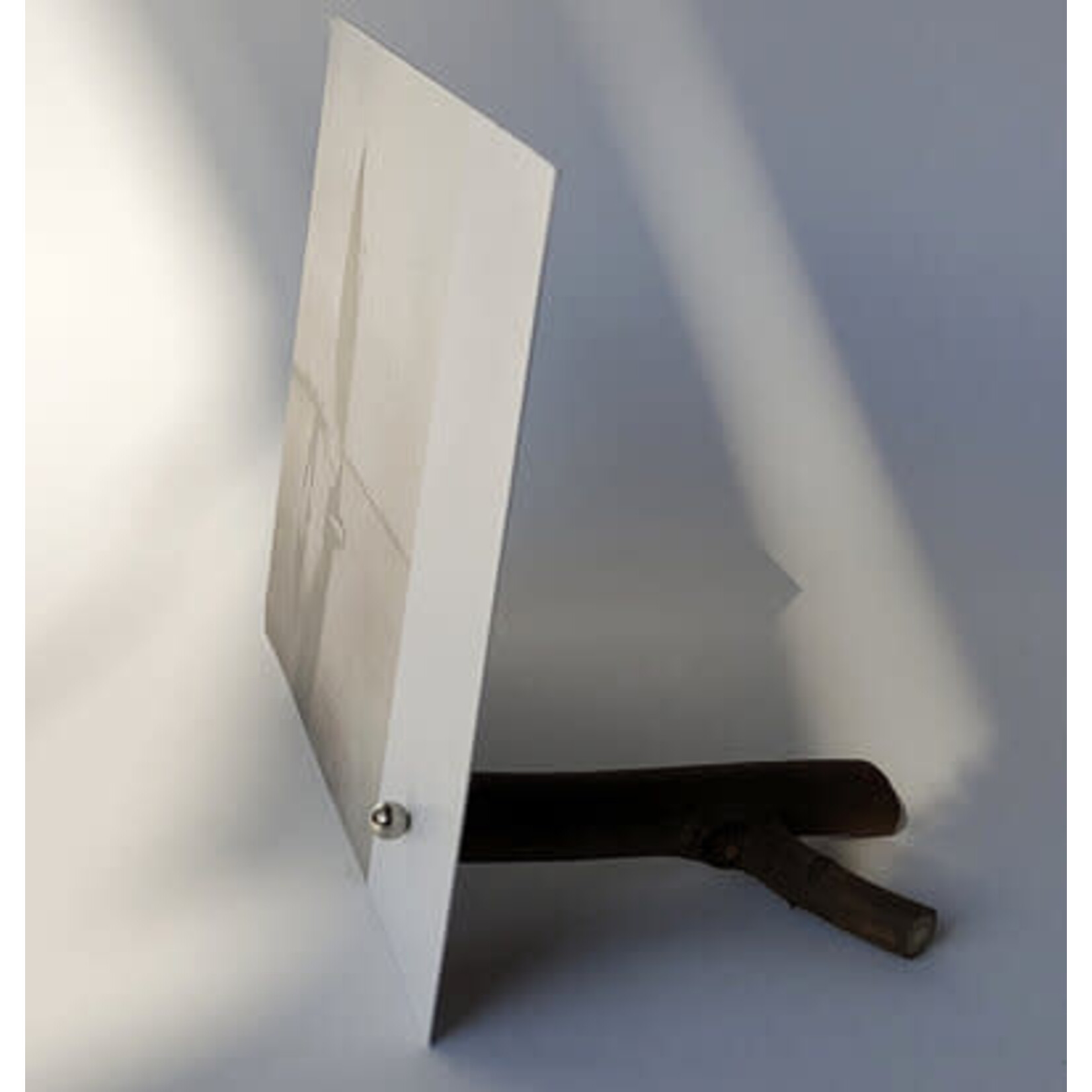 Pro-Dukto Pro-Dukto Takkie magnetische fotohouder