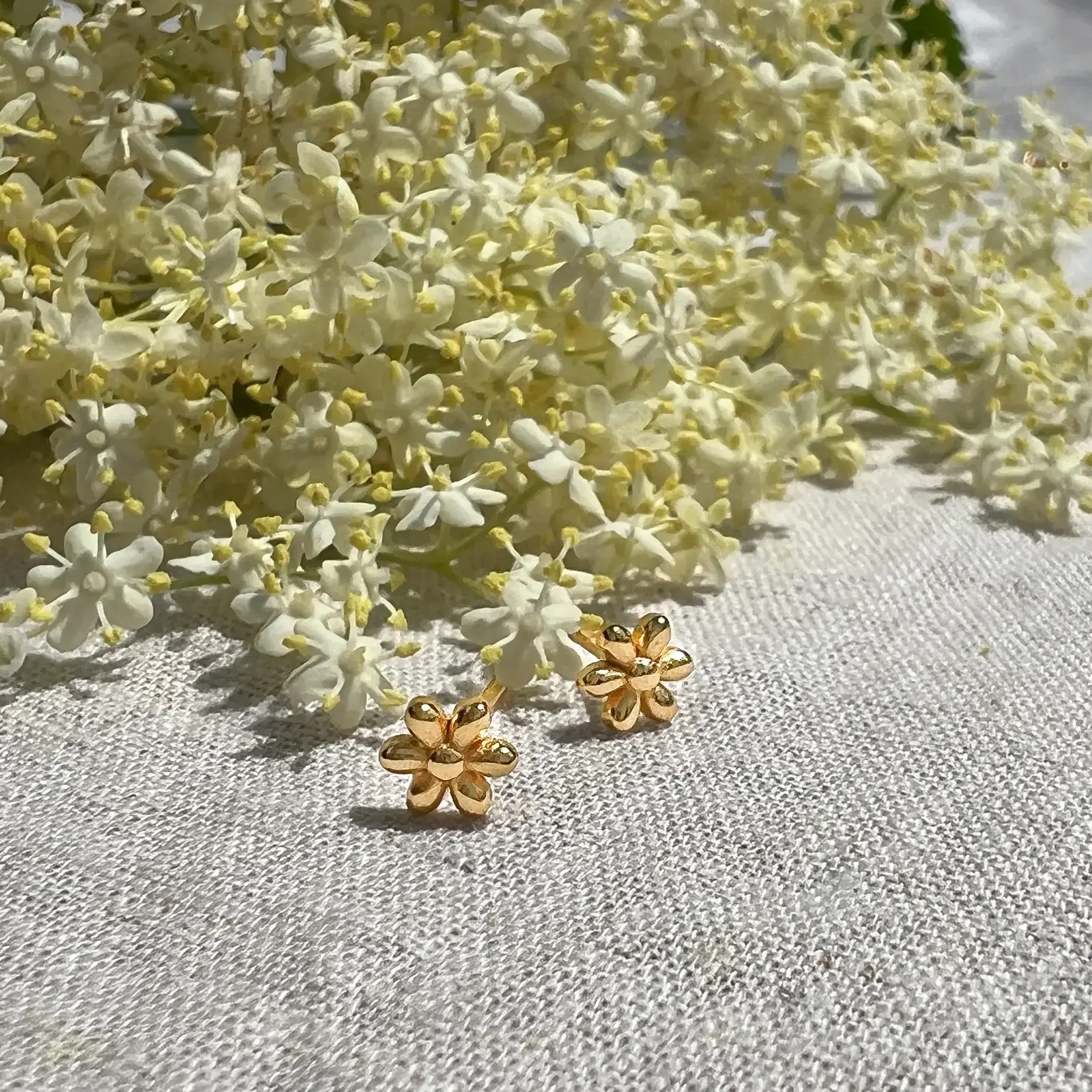 Atelier Brandlinger Brandlinger oorstekers Catania (geelgoud of witgoud verguld)