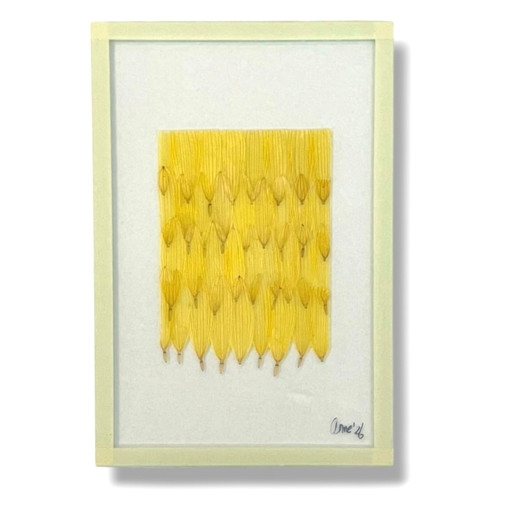 Anne Spies Natuurlijstje van Anne (meerdere soorten)