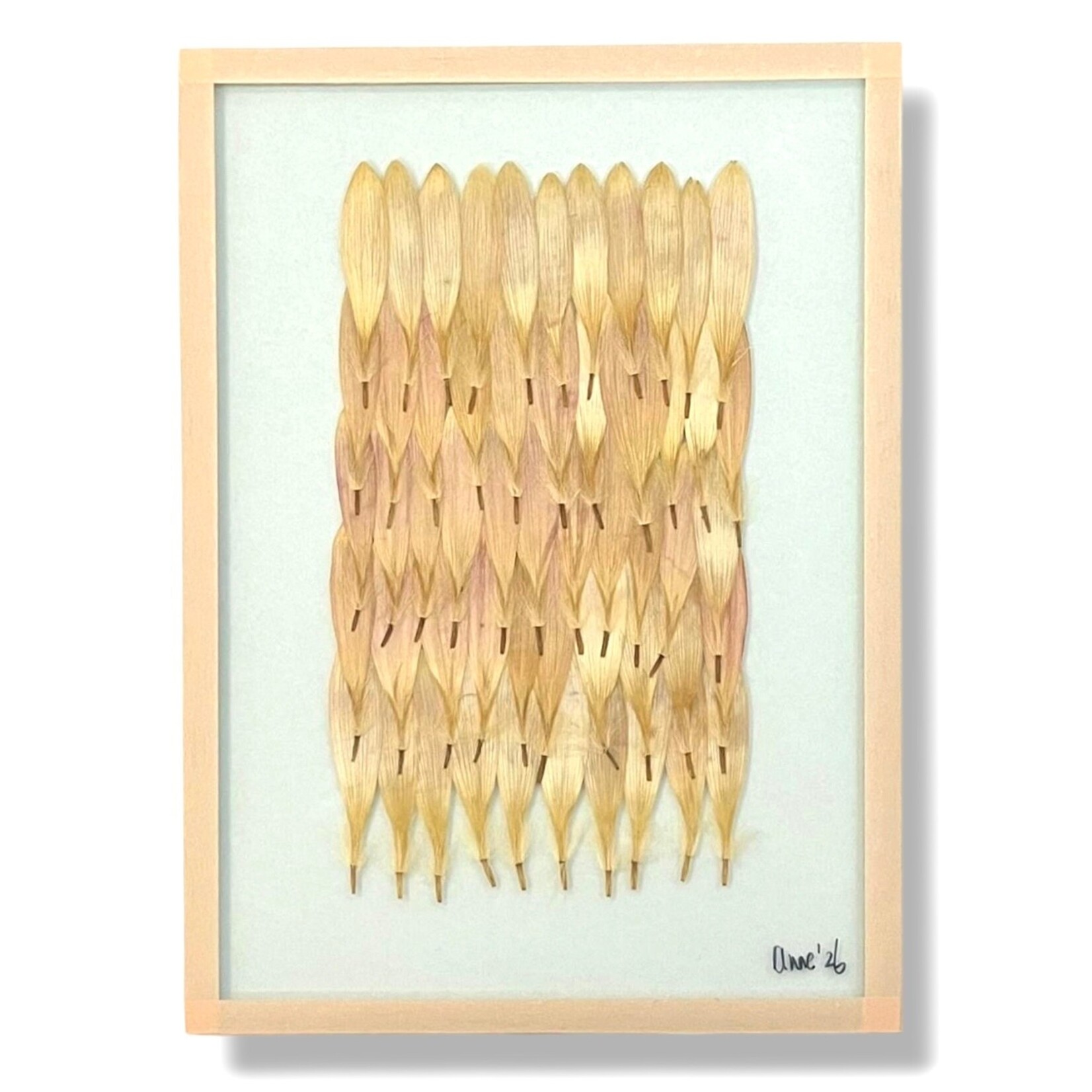 Anne Spies Natuurlijstje van Anne (meerdere soorten)