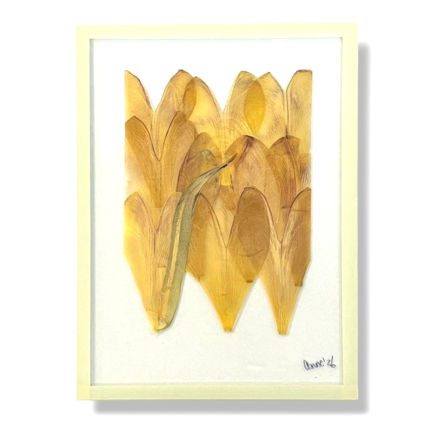 Anne Spies Natuurlijstje van Anne (meerdere soorten)