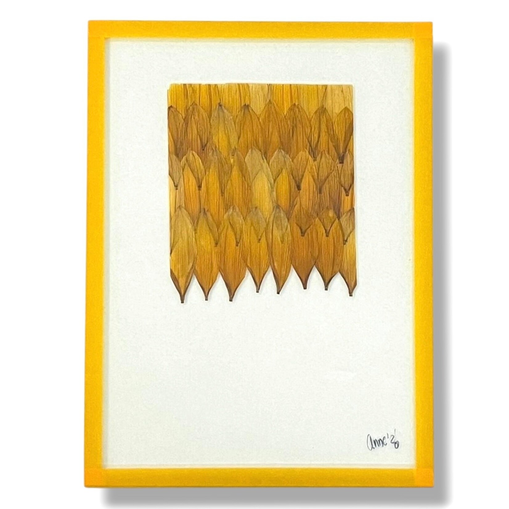 Anne Spies Natuurlijstje van Anne (meerdere soorten)