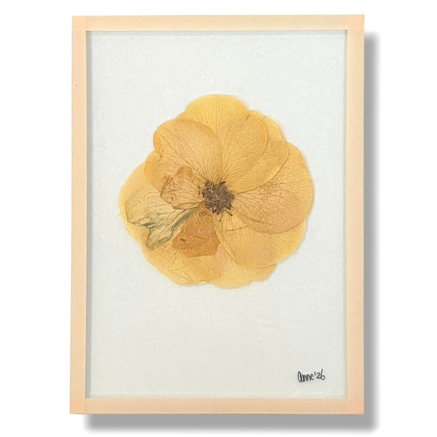 Anne Spies Natuurlijstje van Anne (meerdere soorten)